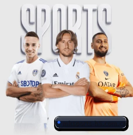 MK体育围绕看球场景设计的核心服务(MKSports)